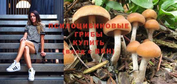 ПСИЛОЦИБИНОВЫЕ ГРИБЫ Володарск