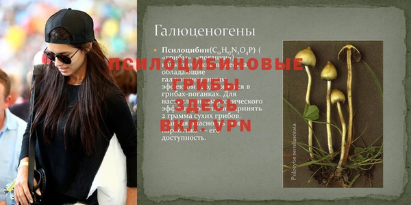 ПСИЛОЦИБИНОВЫЕ ГРИБЫ Володарск
