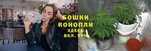 ПСИЛОЦИБИНОВЫЕ ГРИБЫ Володарск